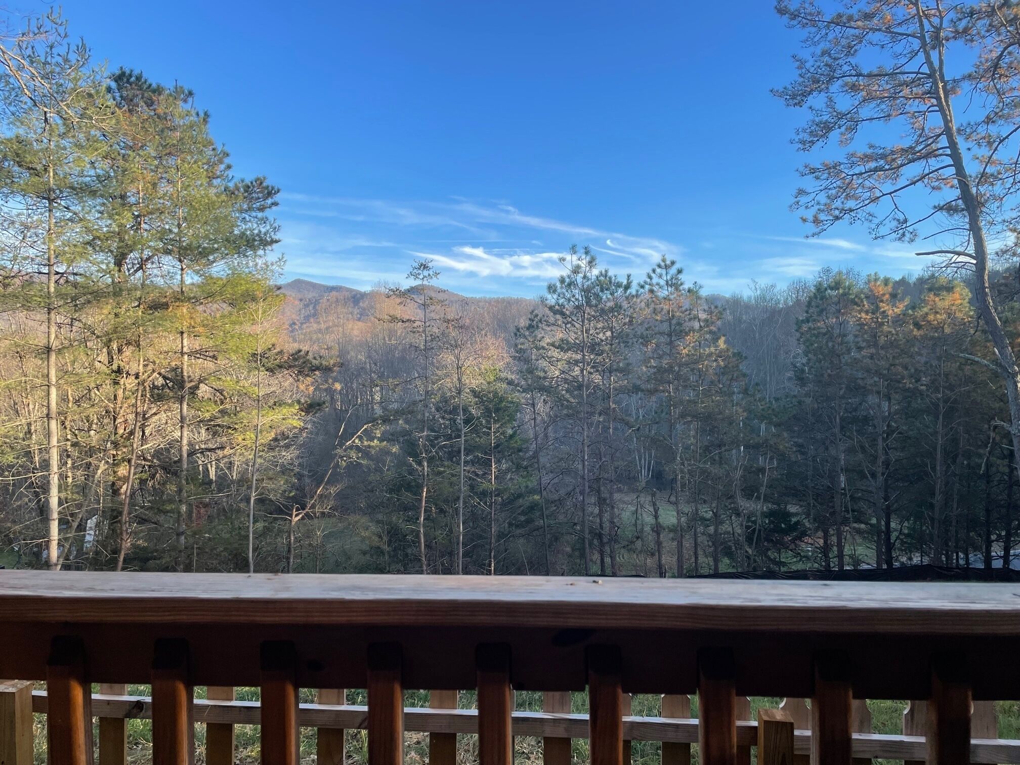 Close to town, easy to get to, internet, cell reception - Flying Pig Cabin