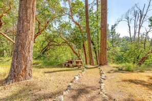 A rustic wooden bench in a forested area with a clear path leading to it. - -River Retreat Log Cabin w/ Gym, Game Room, and Sauna- (Jacksonville)