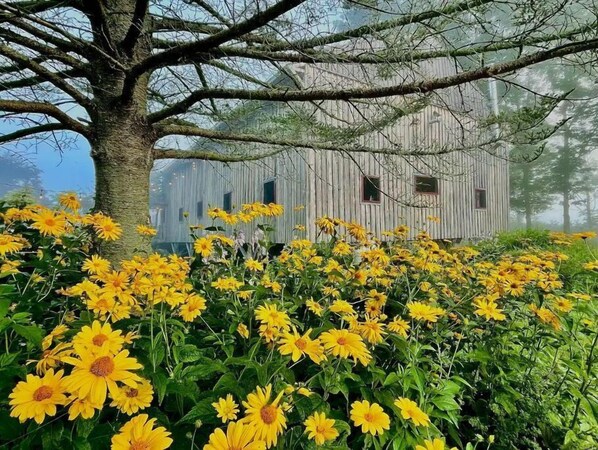 Terrain de l’hébergement 