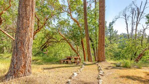 A rustic wooden bench in a forested area with a clear path leading to it. - Breathtaking River Retreat RV Campground - Gym, Game Room, Sauna (97530, Jacksonville, OR)