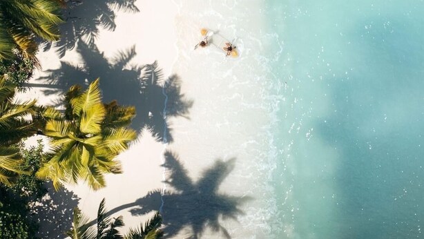 Una playa con palmeras y una vista despejada del océano.