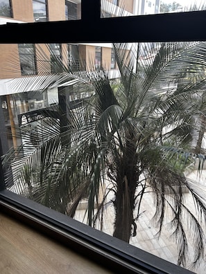 Deluxe Apartment, 1 Bedroom | Courtyard view