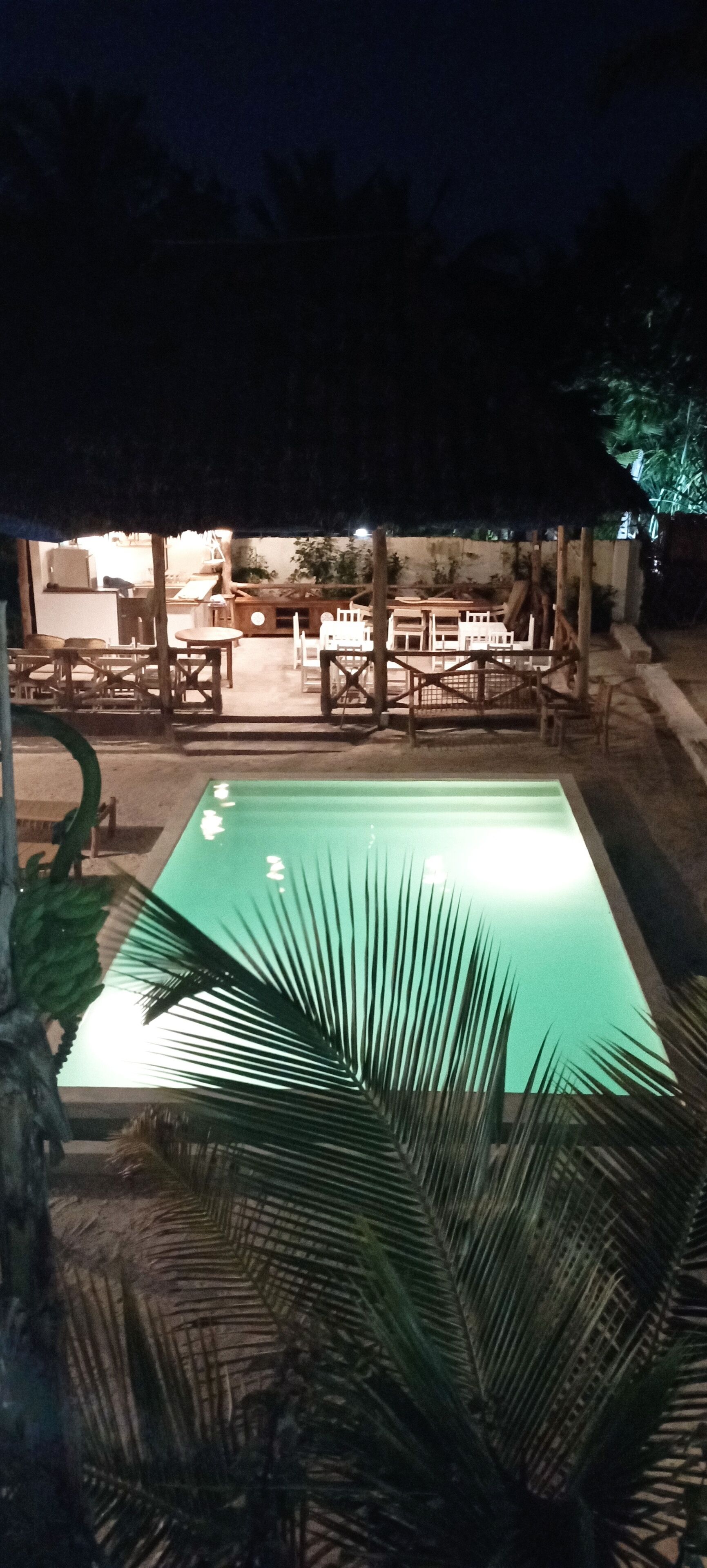 A nighttime view of a pool area with a thatched roof structure, surrounded by palm trees.