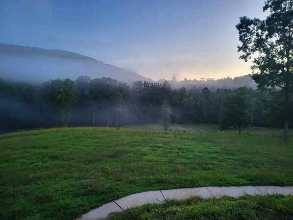 Um campo gramado com uma floresta nevoenta ao fundo.