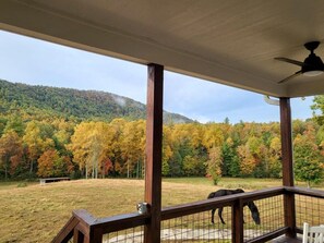 A covered outdoor area with a view of a forested hillside.