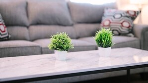 Una sala de estar con un sofá gris, dos plantas en macetas sobre una mesa de centro blanca y cojines estampados.
