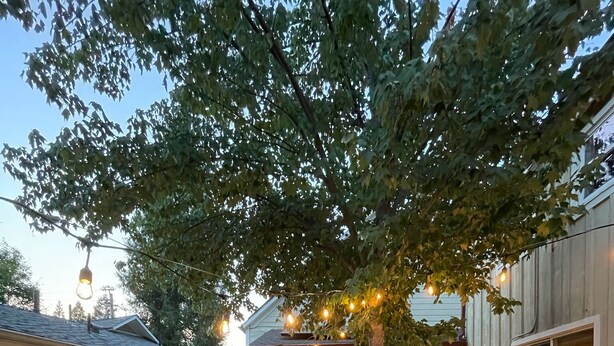 A patio area with a dining table, chairs, a sofa, and a barbecue grill. - Modern Victorian in the heart of downtown Nevada City (Nevada City)