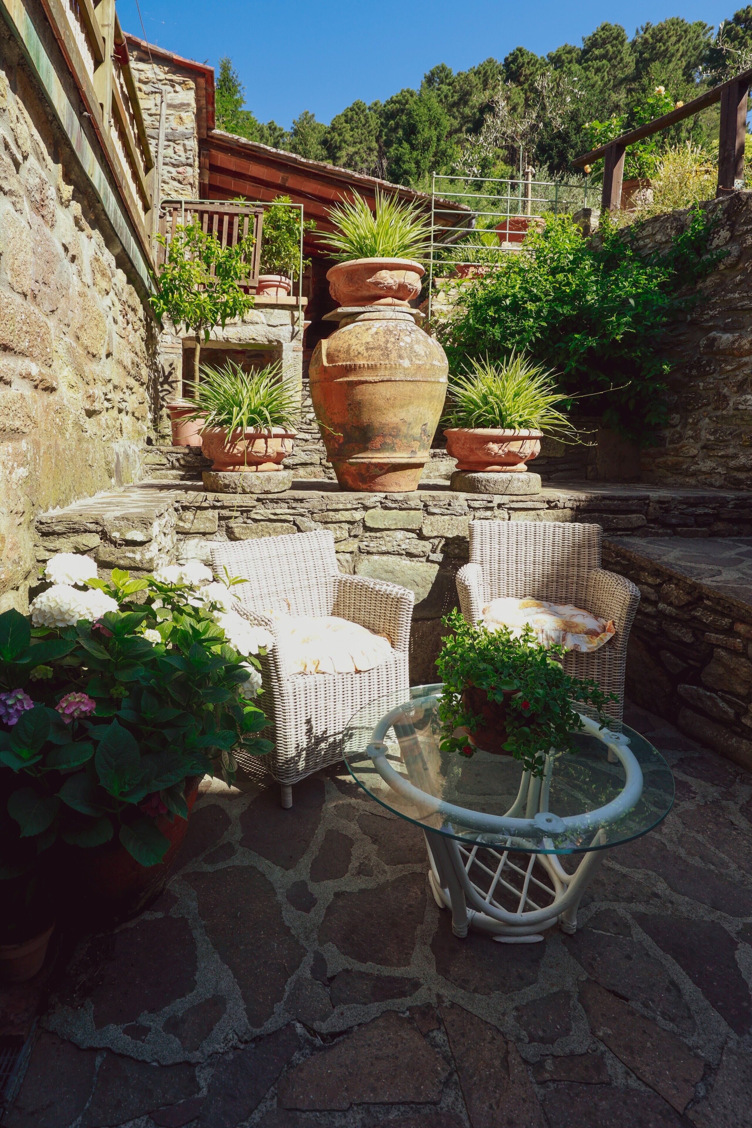 Terraza o patio