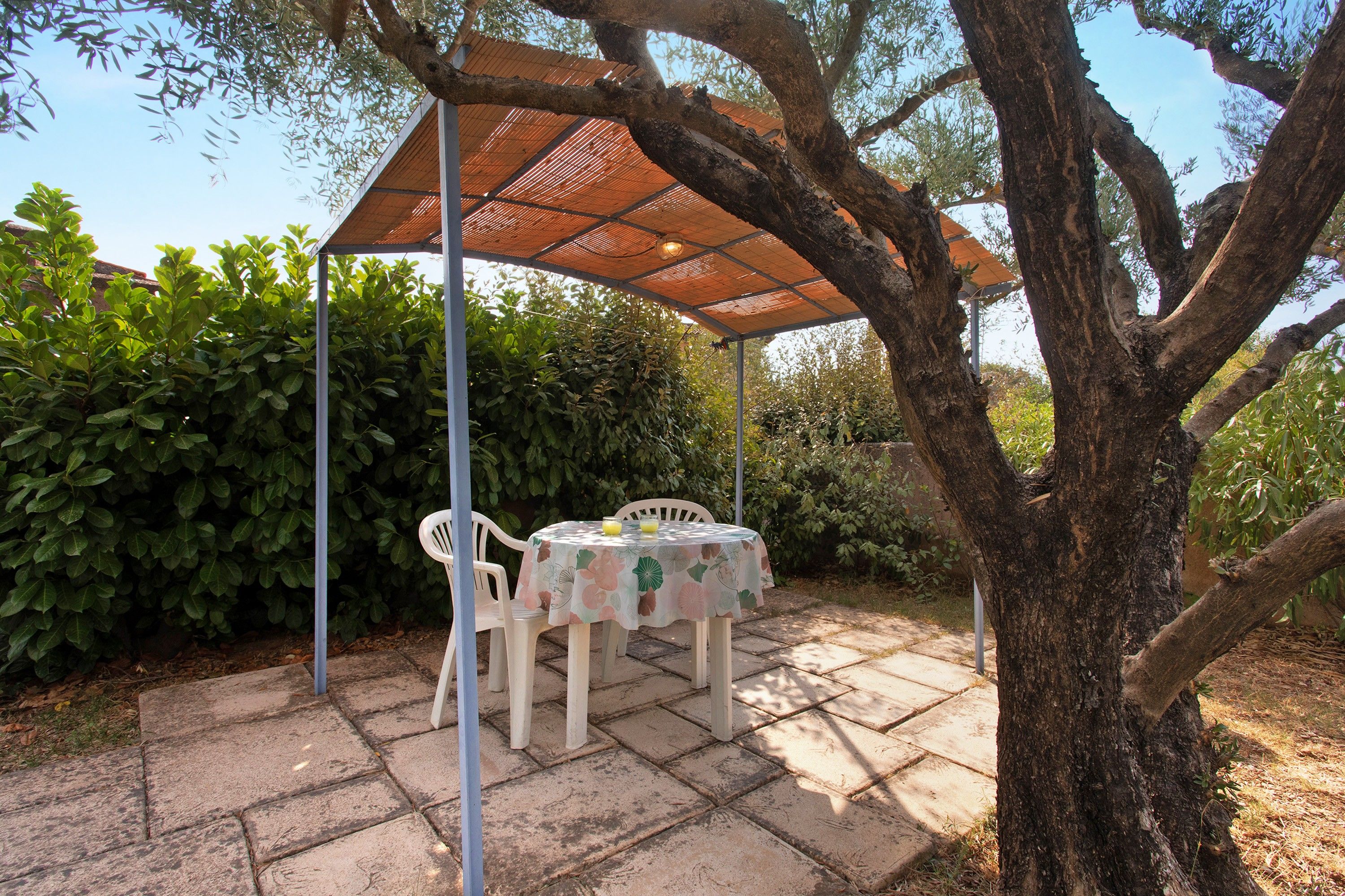 Un espace extérieur abrité, aménagé avec une table et des chaises, entouré de verdure et d’un arbre.