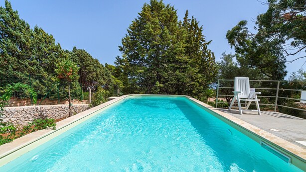Une piscine rectangulaire à l’eau d’un bleu limpide, entourée d’arbres et d’un mur de pierre.