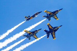 Unclassified image, 2 of 44, button