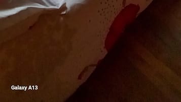 3 habitaciones, tabla de planchar con plancha y wifi gratis