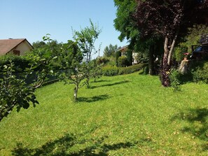 Zona verde y bien cuidada con árboles y una valla, probablemente parte de una propiedad residencial.
