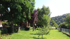A grassy area with trees and a fence.