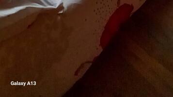 3 makuuhuonetta, silitysrauta/-lauta, ilmainen Wi-Fi, vuodevaatteet