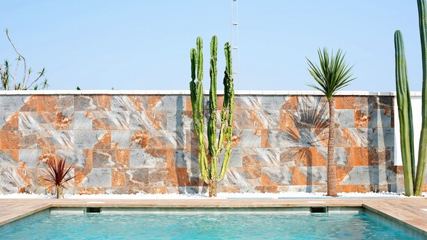 Une piscine bordée d’un mur en pierre, avec des cactus et un palmier.