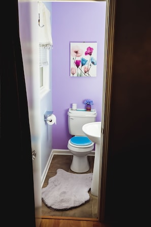 Shower, hair dryer, towels, soap - Private room with separate entrance. Wilmington,North Carolina (Wilmington)