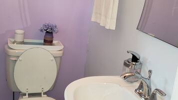 A bathroom with a toilet, sink, and decorative floral paintings on the walls.