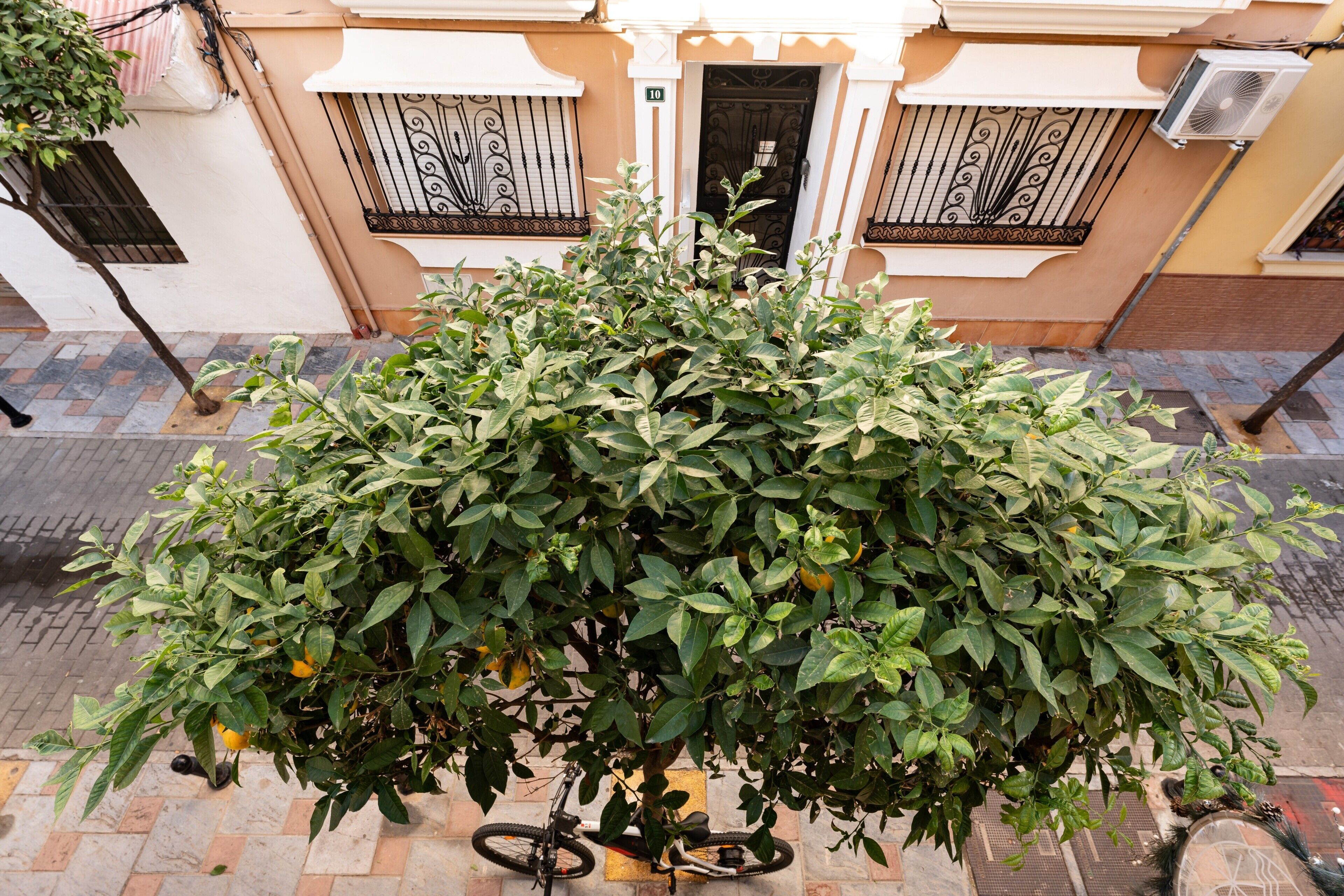 Detalle exterior
