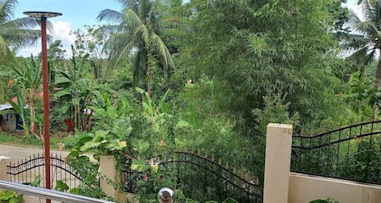 Soul Travellers Room with a View