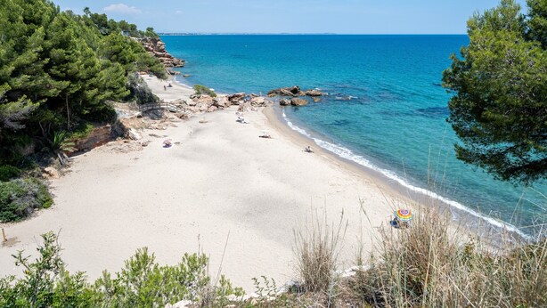 Ein Strand mit klarem, blauem Wasser, sandigem Ufer und Felsen.