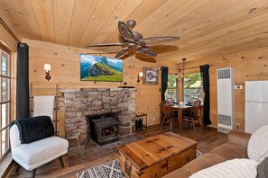 Flachbildfernseher, Kamin, DVD-Player, Videothek