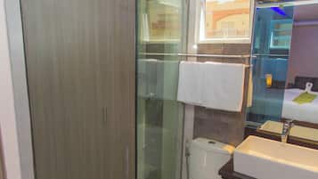 Shower, rainfall showerhead, hair dryer, bidet