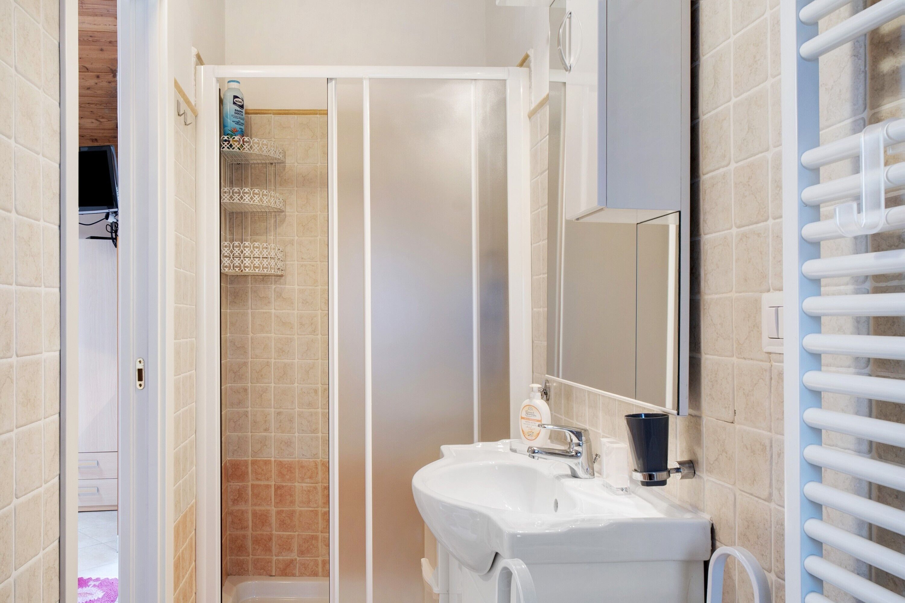 Chuveiro, produtos de toalete grátis, secador de cabelo 