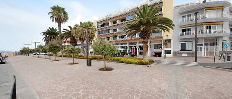 A paved walkway with palm trees, a multi-story building with balconies, and a clear sky.