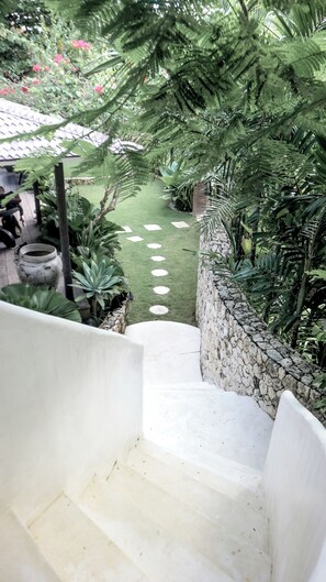 Un escalier menant à un jardin, agrémenté d’un mur en pierre et d’une variété de plantes.