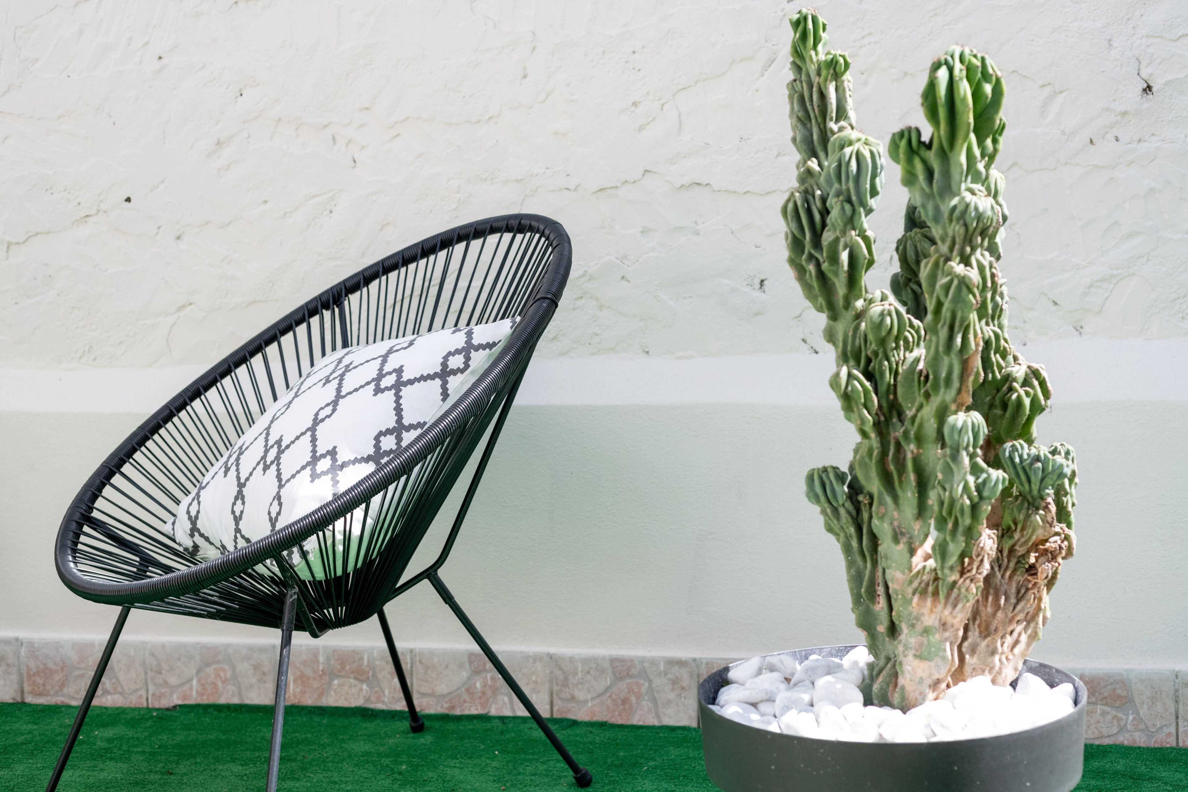 Une chaise au design minimaliste, avec une structure en fil métallique noir et un coussin à motifs, un cactus en pot et un mur blanc bordé de pierres.