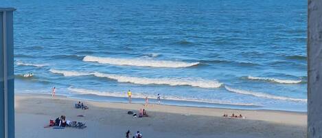 بالقرب من الشاطئ