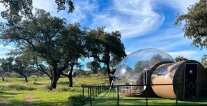 Una estructura esférica transparente con revestimiento metálico, rodeada por una barandilla de metal, ubicada en un campo cubierto de hierba con árboles al fondo.