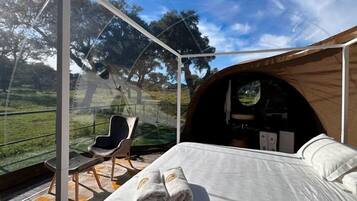 Habitació amb tenda, un llit, una cadira i vista a l'exterior.