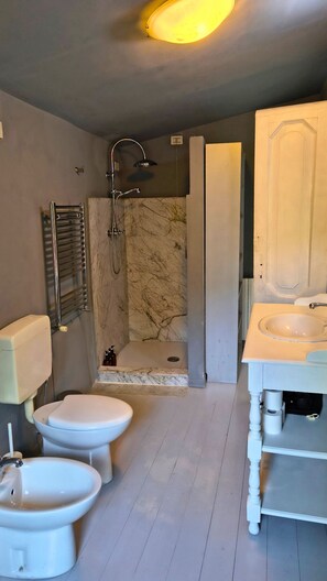 Een douche, een haardroger, een bidet, handdoeken