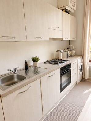A modern kitchen with a stainless steel sink, a gas stove, a built-in oven, and a washing machine.