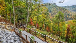 A wooden deck with a metal railing overlooking a forested area with autumn foliage.