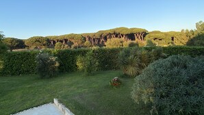 Un jardin avec une pelouse, divers arbustes et un chemin en pierre.