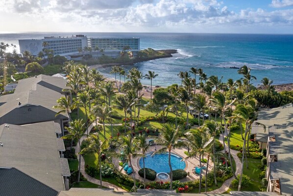 A resort with a pool surrounded by palm trees, a beach, and ocean views.