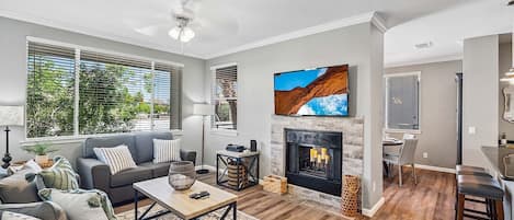 Smart TV, chimenea y libros
