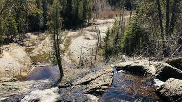 Un arroyo pedregoso con agua cristalina que fluye entre rocas, rodeado de árboles y un lateral boscoso.