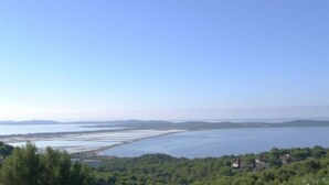 A coastal landscape with a clear sky, a body of water, and a forested area with buildings in the distance. - Les Pieds Dans L'eau, la Tête Dans les Étoiles (HYERES)