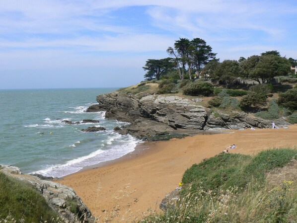 Strand
