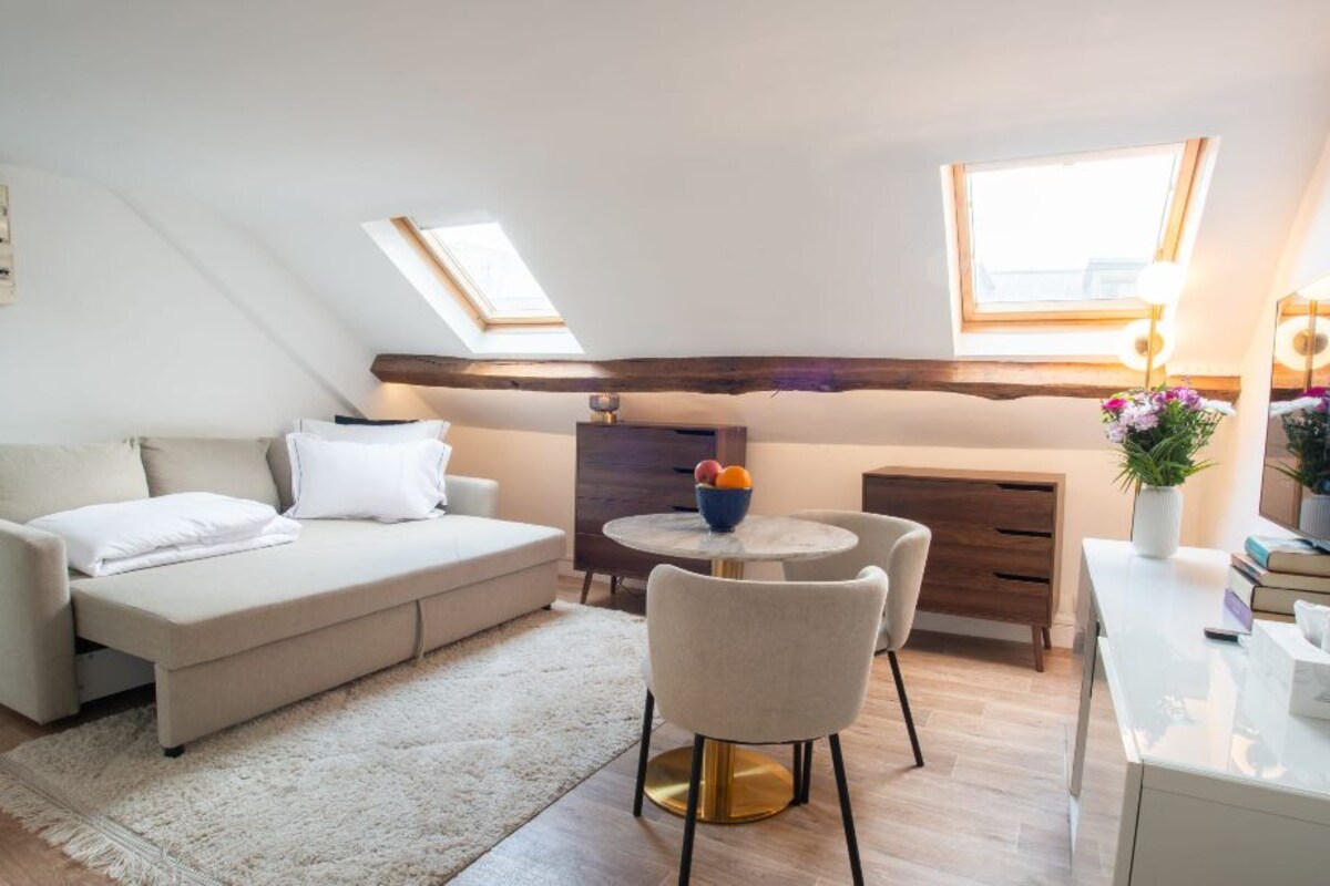 Charming Roof Apartment