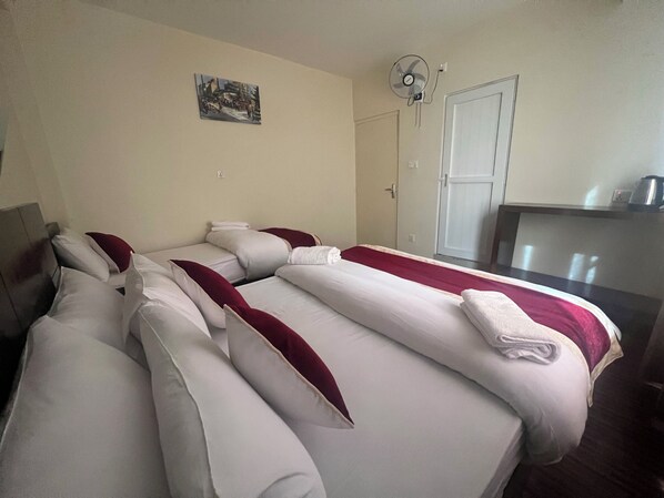 Standard Twin Room | Laptop workspace, free WiFi - Hotel Down to Earth  (Kathmandu)