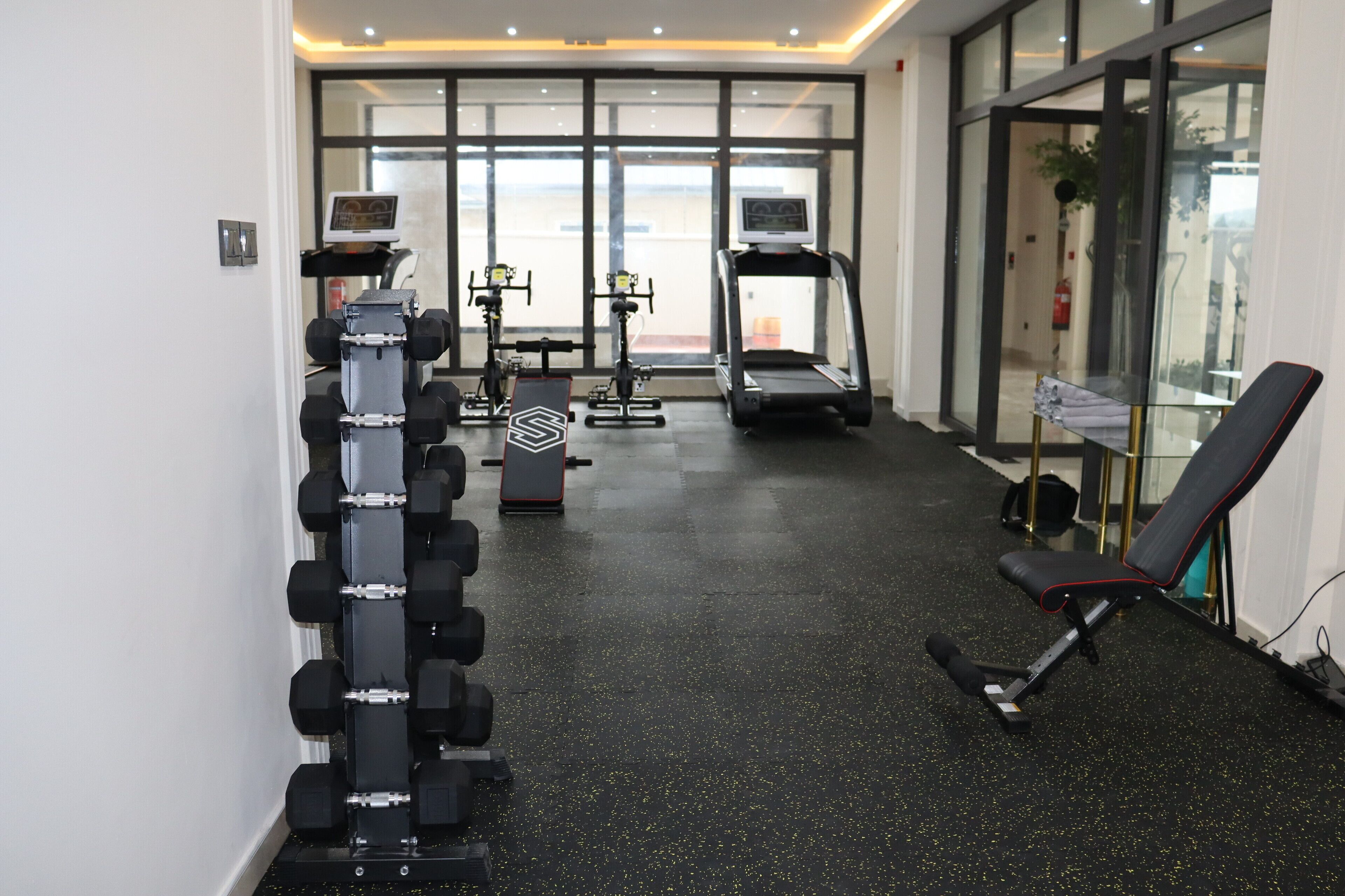 A gym with exercise equipment, a treadmill, and a bench.
