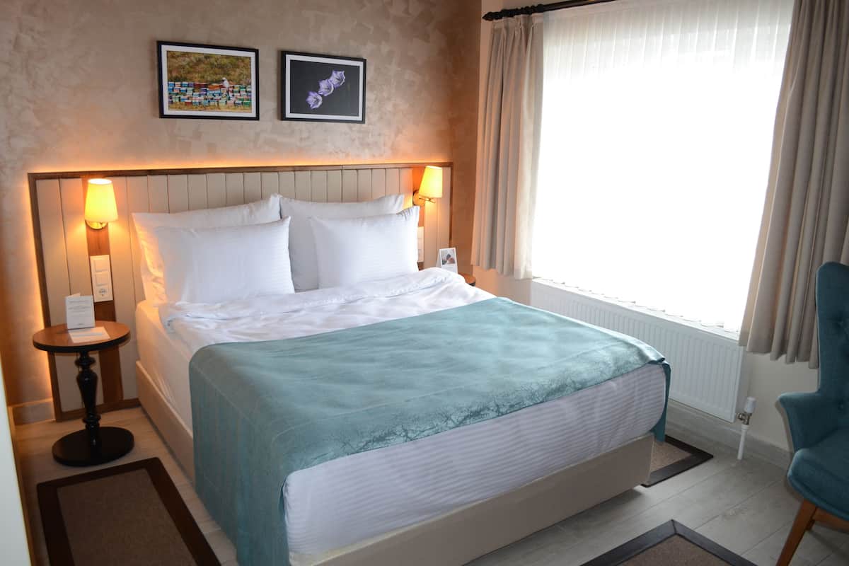 Habitación de hotel con una cama, dos lámparas de noche, un ventanal con cortinas, una silla y dos cuadros en la pared.