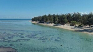 Ein Strand mit klarem, seichten Wasser, einem Sandstrand und einer Baumreihe.