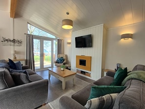 TV connectée, cheminée, livres