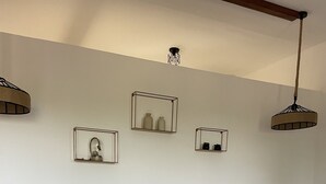 Uklassifisert bilde, 5 av 12, knapp